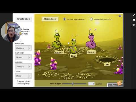 Inheritance Gizmo