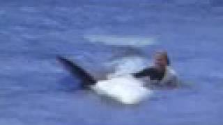 Orcas- Storms in Africa- Enya