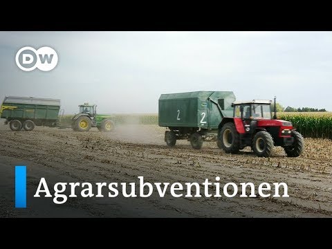 Streit um Agrarsubventionen in Tschechien | Made in Germany