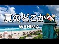 夏のどこかへ - WANIMA (cover) 夏のどこかへ - WANIMA (cover)