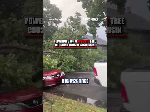 MASSIVE tree crushes cars during Milwaukee storm