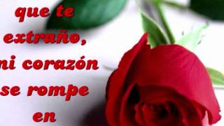 cuando 2 almas se kieren los caminantes.wmv