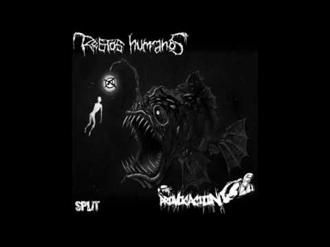 split:Provocacion/ restos humanos