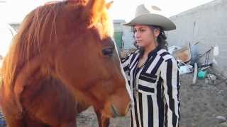 POLO URIAS "EL CORRIDO DE CHIHUAHUA"