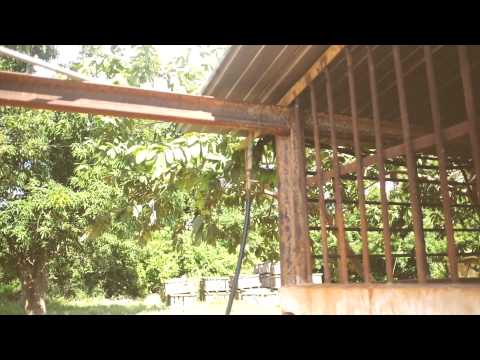 Visita del Representante de la FAO en Cuba al proyecto comunitario de San Felipe, Mayabeque