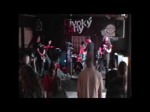 Divoký Sny MF - Divoký Sny MF -  Kavalec