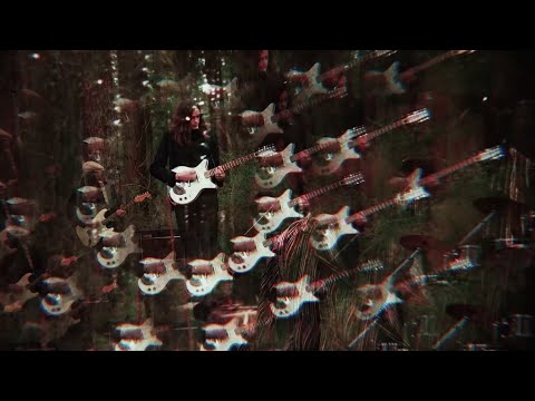 Druid Fluids - Flutter By (Official Video)