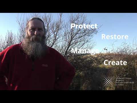 Climate Change, Diet and Land Use | Professor Pete Smith | Scotland's Climate Assembly