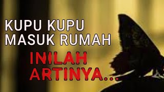 Download lagu ARTI KUPU KUPU MASUK RUMAH PADA SIANG HARI DAN MALAM HARI mp3 Download lagu ARTI KUPU KUPU MASUK RUMAH PADA SIANG HARI DAN MALAM HARI mp3
