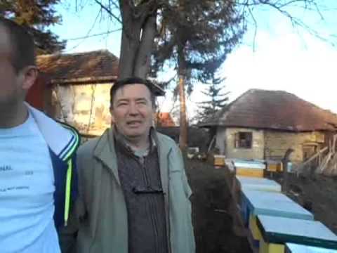 Kod Marka Kovacevica na pcelinjaku 2015  godine