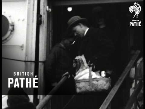 Chimp With Mistress (1920-1930)