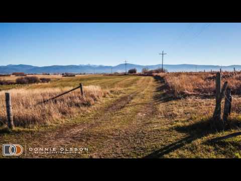 Baxter   Love Lane VIDEO