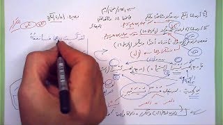 14 🔦 بصيرة إعادة النكرة image