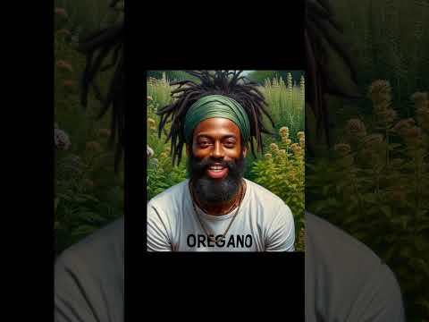 Health benefits and uses of Oregano(Origanum vulgare)