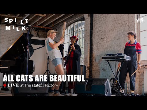 all cats are beautiful | Spilt Milk x state51 Factory Sessions