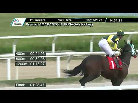 220218 c01 - DOG FRANCES - HIPODROMO LAS PIEDRAS