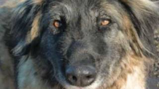 Eine Liebe die nie Endet