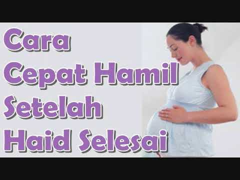 download video viral Cara Agar Cepat Hamil Setelah Haid, download Cara Agar Cepat Hamil Setelah Haid gratis, unduh video Cara Agar Cepat Hamil Setelah Haid