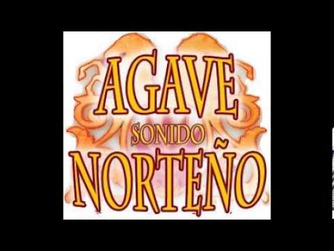 SONIDO AGAVE NORTEÑO EN VIVO CAMPAMENTO 2013