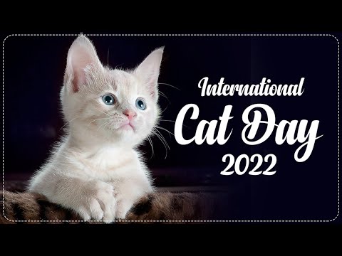 'International Cat Day'-significance by Jaspreet Kaur Shergill