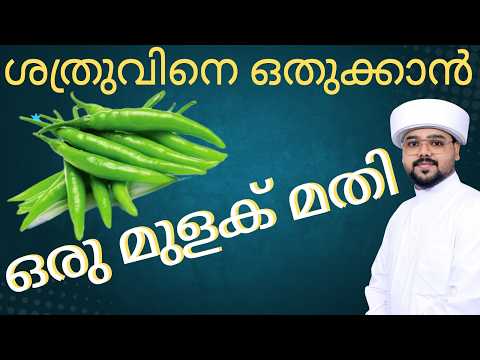 നിങ്ങൾ കാത്തിരുന്ന അമൽ ശത്രുവിനെ ഓടിക്കാൻ ഒരു മുളക് മതി#irbad #motivation