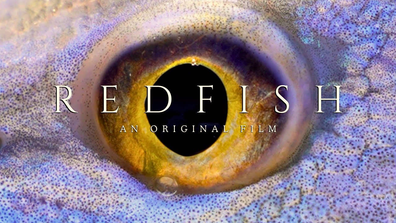 REDFISH | An Original Film