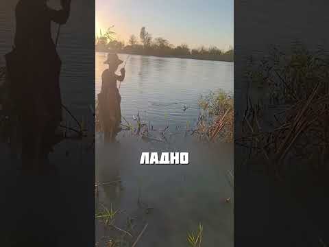 ВОТ ЭТО УЛОВ