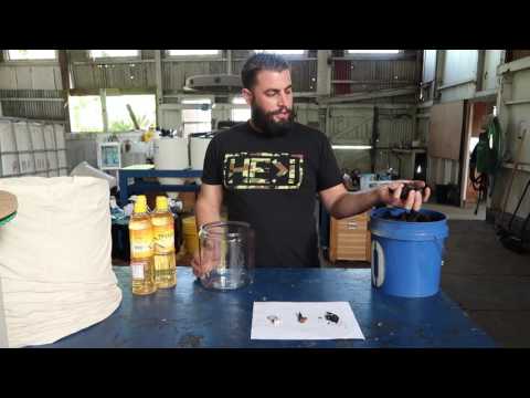 Korean Natural Farming   How to: WCAP