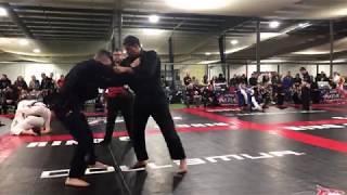 BJJ black belt vs Japanese Jiu Jitsu black belt