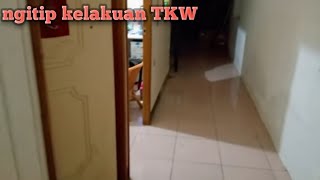 Download lagu Ngitip TKW layani majikan dikamar mp3 Download lagu Ngitip TKW layani majikan dikamar mp3