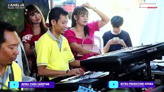 Download lagu CAMELIA PELAN TAPI PASTI-JOKO TINGKIR-LAILY FT LUKITO-WEDDING RETNO DENGAN YULIANTO-BAWU mp3