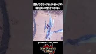 【モンハン】飛んできたイヴェルカーナの頭を貫くハンター【モンハンサンブレイク】