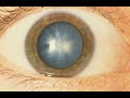 The impact of climate change on the eye