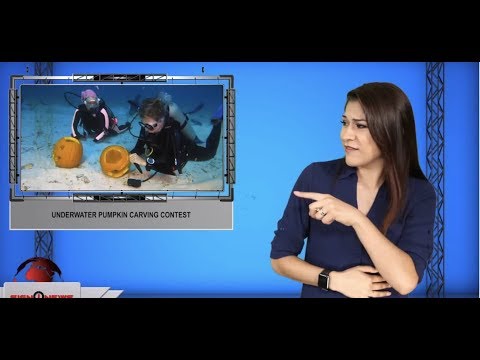 Underwater pumpkin carving contest (ASL - 10.7.19)