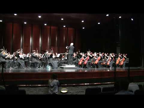 Beethoven: String Quartet in c# minor, op.131 mvt. VI, VII 2017-10-04