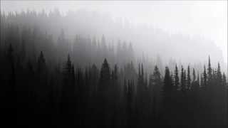 Woods of Ypres - The Allure of the Earth