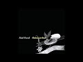 neal casal / debris