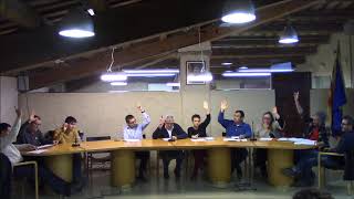 Ple municipal del 28 de febrer de 2019