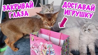 ДЕЛИМ НОВЫЕ ИГРУШКИ СЛАДУНА С ЗАКРЫТЫМИ ГЛАЗАМИ!