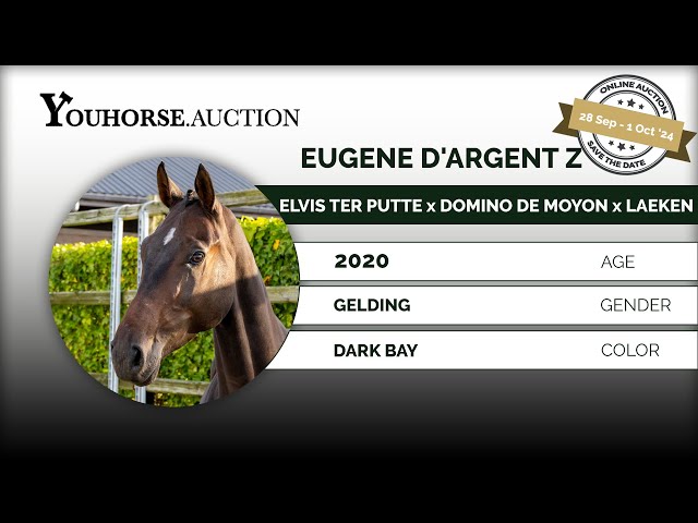 Eugene D'argent Z