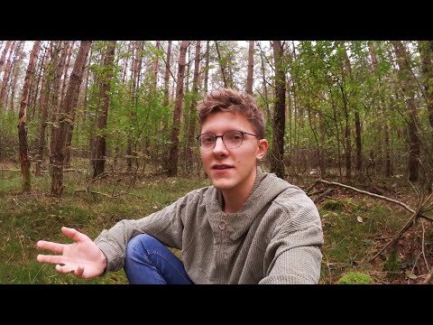 Brücken zum Zen (Gott) 🎋🍃