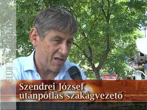 CVSE labdarúgó juniális