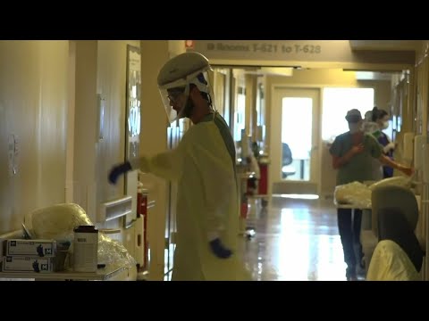 New Strain Of Coronavirus Detected In Florida