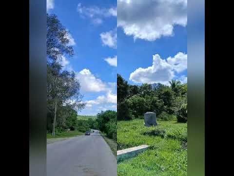 Carretera Guardalavaca a Banes, Holguín, Cuba.#travel #calle#naturaleza #turismo