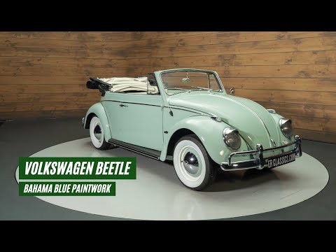 1963 Volkswagen Beetle (CC-1906315) for sale in Waalwijk, Noord-Brabant