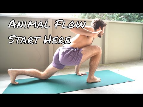 Animal Flow Workout - 15 Minute Bodyweight Workout (Follow Along)