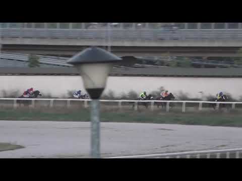 Trka "Kostolac" 03.10.2021 Ankara - Darko Ljubomirović