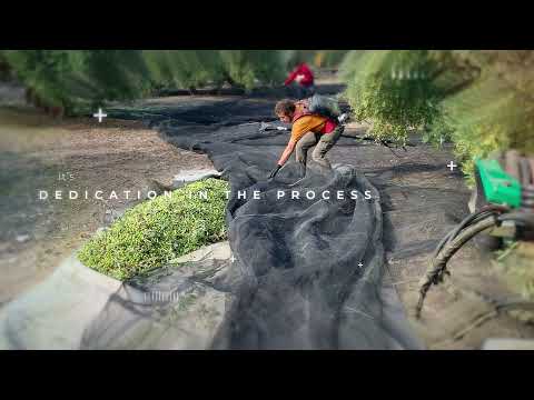 Presentación de la casa - Cañada del Avestruz Frühe Ernte Picual 500 ml