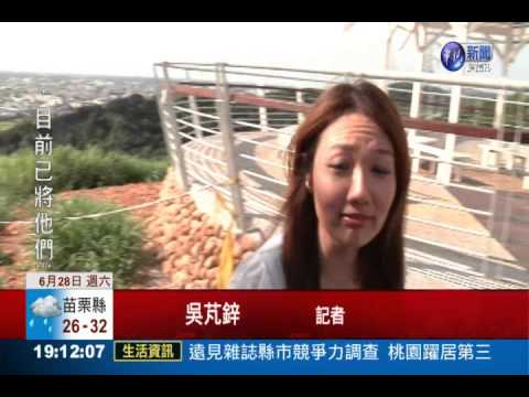 擅闖施工觀景台 無良遊客搞破壞