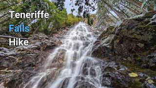 The Trail That Changed From Lush Forest to Freezing Snow